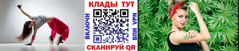 Где купить Жердевка A-PVP Меф Гашиш Бошки Шишки COCAIN