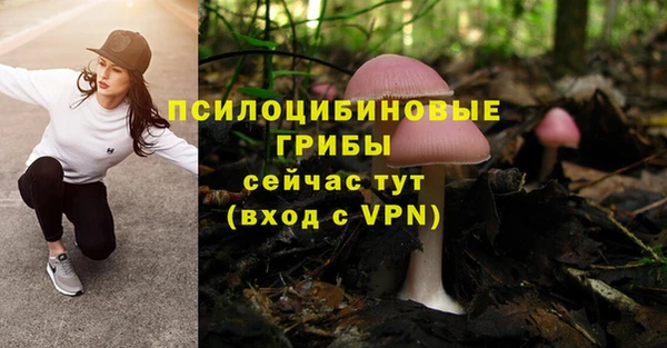 герыч Дмитриев