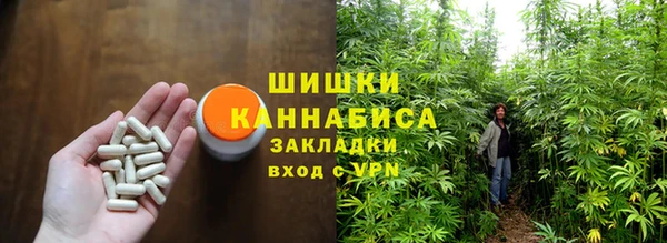 Альфа ПВП Горняк