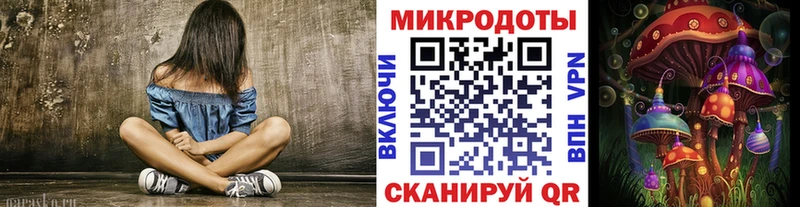 где продают   Жердевка  Псилоцибиновые грибы Psilocybine cubensis 