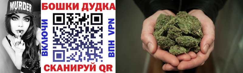 Шишки марихуана план Жердевка