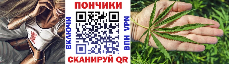 Марихуана план  Жердевка 